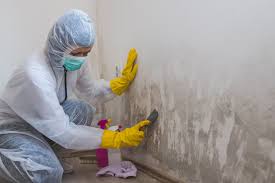 Forensic Mold Investigation in Rose Hill, NC